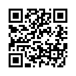 V300B48H250BG QRCode