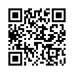 V48B2H100BN QRCode