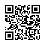 VE09P00251KDD QRCode