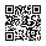 VE13M00131K QRCode