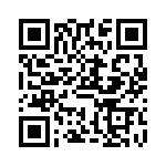 VE17M00500K QRCode