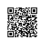 VG95234A-32-1PN QRCode