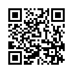 VG95234A365PX QRCode