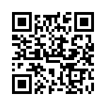 VG95234A365PX1 QRCode