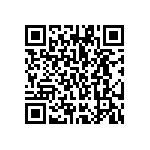 VG95234K-22-2P1N QRCode