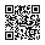 VG95234KR10SL QRCode