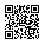 VG95234N1181PX QRCode