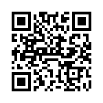 VI-B1R-EY-B1 QRCode