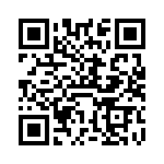 VI-B1X-IV-F3 QRCode