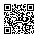 VI-B3P-IV-F3 QRCode