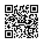 VI-B3R-EV QRCode