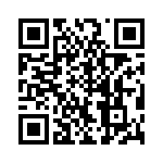 VI-B3T-EV-F4 QRCode