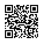 VI-B3T-IY-B1 QRCode