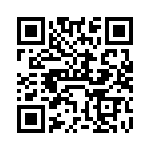 VI-B3V-MU-B1 QRCode