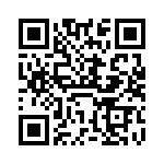 VI-B3Y-IY-B1 QRCode