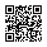 VI-B4R-EV-S QRCode