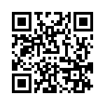 VI-B4R-IX-B1 QRCode