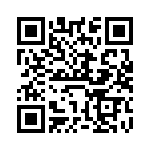 VI-B53-IY-F4 QRCode