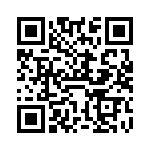 VI-BTP-IV-B1 QRCode