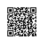 VJ0402D110MLXAJ QRCode