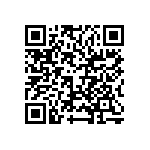 VJ0402D4R3CLBAP QRCode