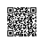 VJ0402D6R2DLBAJ QRCode