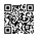 W33-T1N1Q-5 QRCode