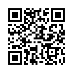 WW12FT383R QRCode
