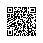 X60003BIG3Z-41T1 QRCode