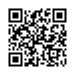 XB9XT-DMRS-001 QRCode