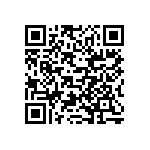 XC4013E-2BG225C QRCode