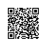 XLH536033-333000I QRCode