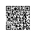 XMLBWT-02-0000-0000T60E1 QRCode