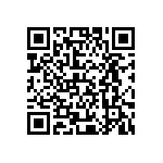 XQERED-H0-0000-000000301 QRCode