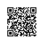 Y002840R0000T2L QRCode