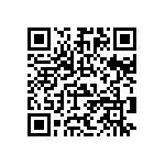 Y0054297K383T9L QRCode