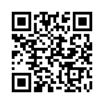 Y0115V0523BV0L QRCode