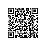 Y073410R0000T9L QRCode