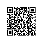 Y078532K6500T9L QRCode