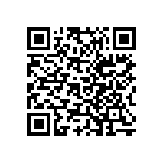 Y078590K9000B0L QRCode