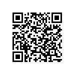 Y078933R3000B0L QRCode