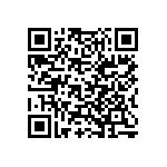 Y079333R3890B0L QRCode