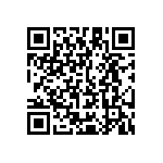 Y11211K20000T13R QRCode