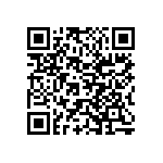 Y11211K21000B9R QRCode