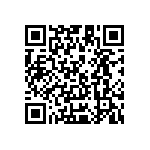 Y112125K5000B0R QRCode