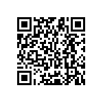 Y11691K55200T9L QRCode