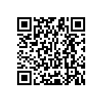 Y11691K75000T9L QRCode