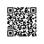 Y116950K0000B9R QRCode