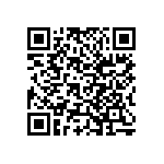 Y11696K19000B0L QRCode