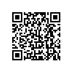 Y12881K10000B0L QRCode